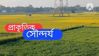 প্রাকৃতিক সৌন্দর্য | Natural Beauty Of Bangladesh | সরিষার ক্ষেত | রহস্য