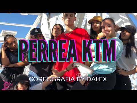 PERREA KTM- Julianno Sosa (Video coreografia) by @dalex_cj- Paraguay