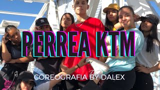 PERREA KTM- Julianno Sosa (Video coreografia) by @dalex_cj- Paraguay