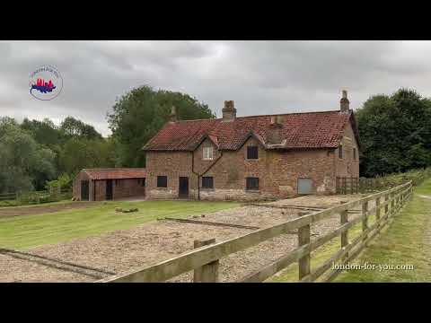 1655 Руины средневековой деревни Wharram Percy Medieval Village