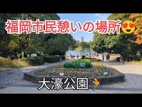 【大濠公園散歩】来週は福岡国際マラソン2024.11.24撮影