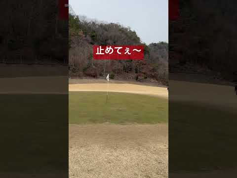 キュって止まるやつ打ちたい⛳️#youtube #shorts #ゴルフ #golf #ゴルファー #ゴルフ初心者 #ゴルフ動画 #ラウンド動画 #アプローチ #スイング #打ち方 #golfer