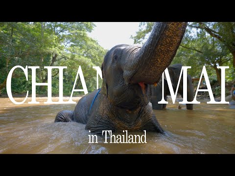 My Trip to Chiang Mai in Thailand