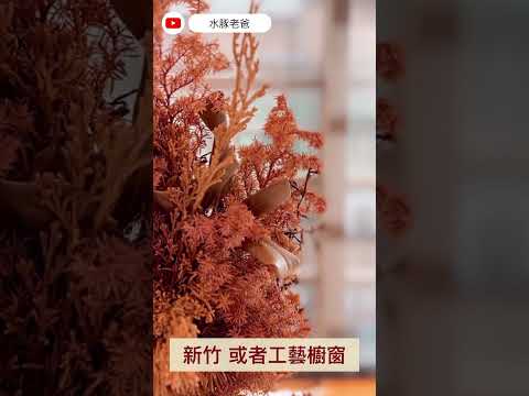 新竹 或者工藝櫥窗