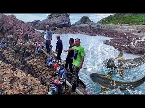 【阿向趕海】八台重砲狂抽2000平海王坑，魚獲爆抓兩大桶高達上百斤，大賣4000元