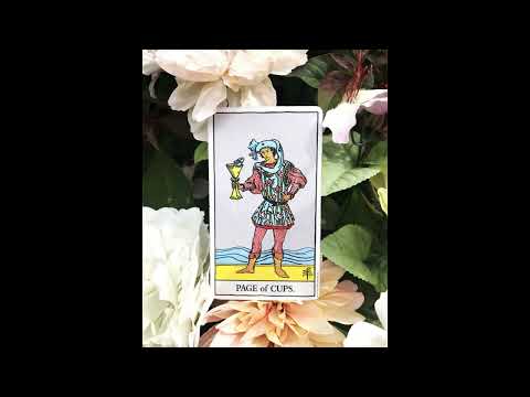 Weekly tarot message: Venus moves into Libra. Page of Cups.