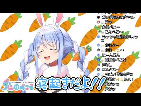 寝起き過ぎて自分のあいさつを忘れかけたぺこら【ホロライブ切り抜き/兎田ぺこら】