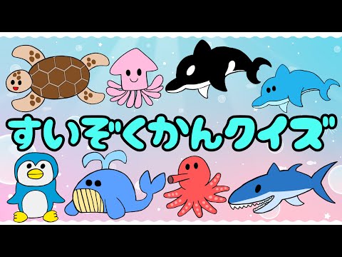 【子供向け】すいぞくかんクイズ【海の生き物図鑑 雑学 特徴 動物 シルエットクイズ 幼児 幼稚園】