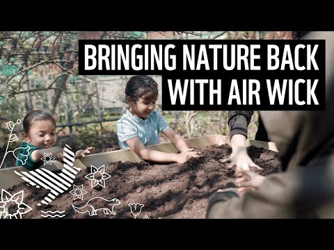 Bringing nature back to Leicester schools