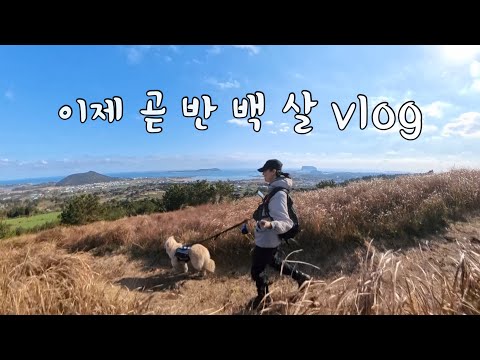 SUB 단순로그284 in Jeju 나이 드는 걸 자꾸 까먹는 이제 곧 반 백 살 vlog