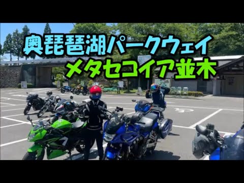 奥琵琶湖パークウェイ メタセコイア並木 所持金2,000円ツーリング 【カズClionライダー】