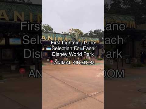 ⚡️Our # 1 Lightning Lane Selection At Disneys Animal Kingdom⚡️