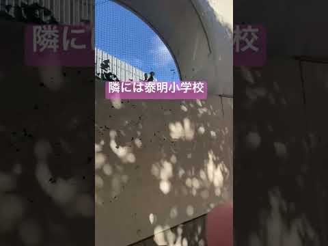 銀座の真ん中にある学校