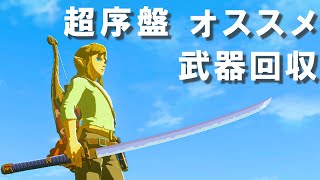 【攻略】超序盤のおすすめ武器入手スポット【ゼルダの伝説 ブレスオブザワイルド】