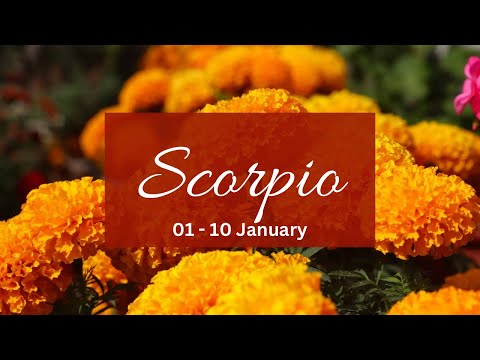 Scorpio❤️Life doesn’t make sense without u.. Ur gift of absence is the catalyst for their awakening!