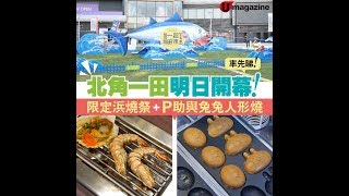 北角一田明日開幕！ 限定浜燒祭+P助與兔兔人形燒