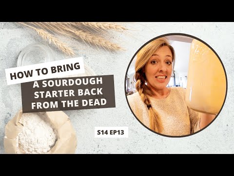 S14 E13: How to Bring a Sourdough Starter Back from the Dead