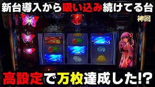 L南国育ち【神回】これが高設定挙動!?吸い込み続けてる新台で人生初の万枚達成!?【パチンカス養分ユウきのガチ実践#351 】