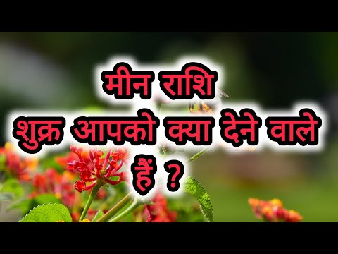 मीन राशि शुक्र आपको क्या देने वाले हैं ?