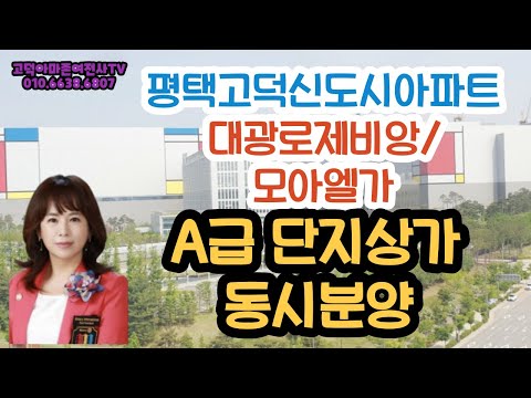 평택고덕아파트/A급단지상가 동시분양(대광로제비앙/모아엘가)