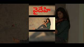 వైదేహి Theme #2024movies #bestthriller #2024telugumovies #funny #youtube #movie