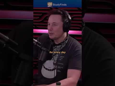 Elon Musk's return on investment #shortsvideo