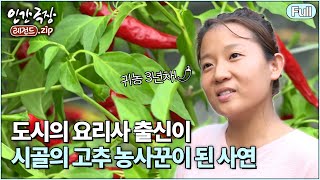 [인간극장🎬고추밭 자운 씨의 즐거운 우리집⭑Full] 🌶️ 영양에서 고추 농사 지으며 가족의 완성을 꿈꿔요 | KBS 방송