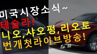 테슬라 니오 샤오펑 리오토 스마트카 소식/ 앞으로의 미래/ 대기만성형/ 미국 주식 소식 투자 성공의 비밀