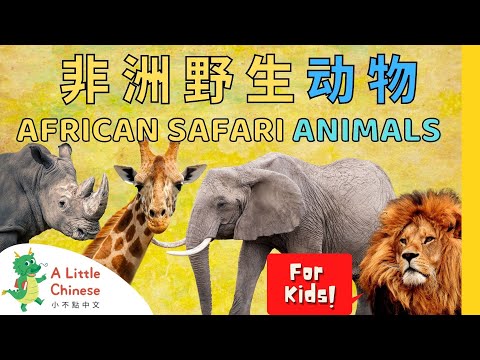 20 Amazing African Safari Animals + Song in Chinese 非洲野生动物 | Chinese for Kids, Toddlers & Babies