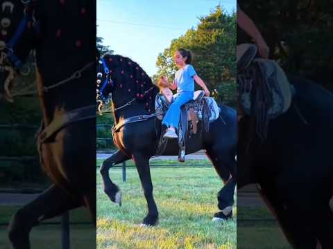 #horsetraining #rkshorts155 #viralvideo #funny #rkconstruction #baby