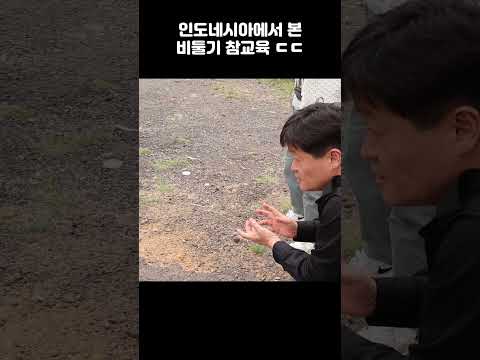 인도네시아에서 본 비둘기 참교육 ㄷㄷ #shorts #funny #viral