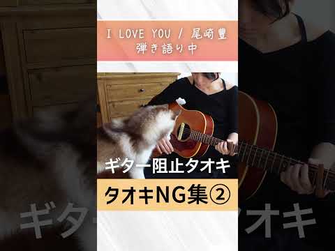 弾き語り中のタオキ NG 集をお見せします【I LOVE YOU/尾崎豊】