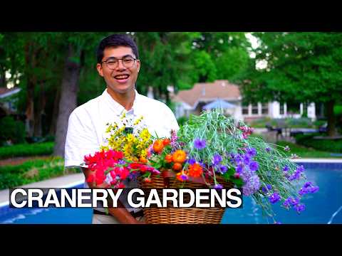 Secret Cut Flower Garden Tips: Grow, Harvest, Arrange at Home in July