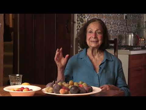 Claudia Roden - In search for ingredients (13/155)