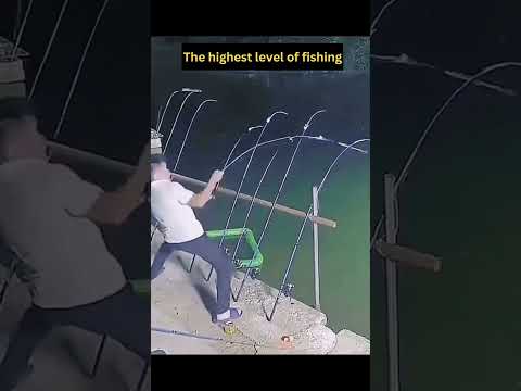 the highest level of fishing #shorts #fishing #fishingvideo #amazing #funnyvideo #hilariousmoments