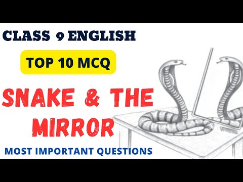 Best MCQ The snake and the mirror Beehive | class 9 beehive chapter 5 mcq