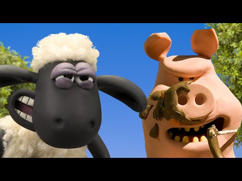 🐑 Ovelha vs 🐷 Porco Rodada 2 - Caos de Fundo Musgoso