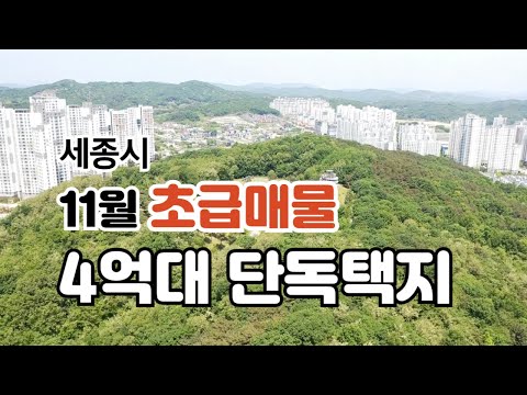 세종시 11월 4억대 강추 초급매물 4개