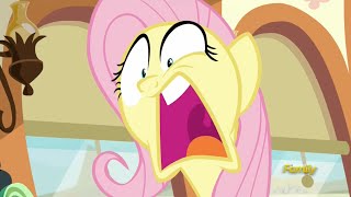 Fluttershy Snaps - Buckball Season