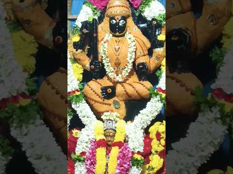 అమ్మ చందనమే పూసిన వొళ్లు చూడు | Muthyalamma Thalli #shorts #dasara #durgama