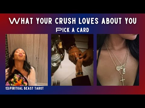 pick a card | what your crush loves about you