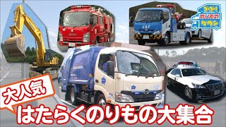 【のりもの図鑑】大人気はたらくのりもの大集合（清掃車/ゴミ収集車、工事現場の車、ポンプ車、JAFの車、パトロールカー）