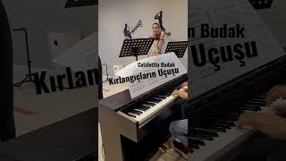 Kırlangıçların Uçuşu #piyanocover #piyanorahatlatıcı #piyano #valse #ayrılıkfonmüzikleri #composer