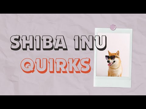 Why Shiba Inu Dogs Are So Quirky: The Science Behind Their Behavior