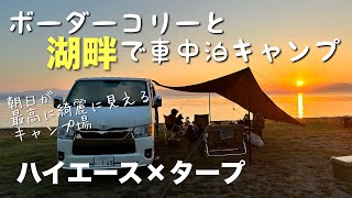 【初カーサイドタープ】ボーダーコリーと湖畔で車中泊キャンプ！