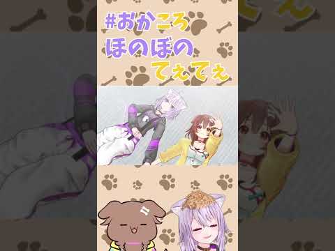 おかころてぇてぇでアニマルヒーリングができそう…【猫又おかゆ🍙/戌神ころね🥐/ホロライブ切り抜き/#shorts】