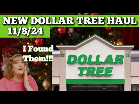 Check Out What I Scored At Dollar Tree! | 11/8/24 Haul