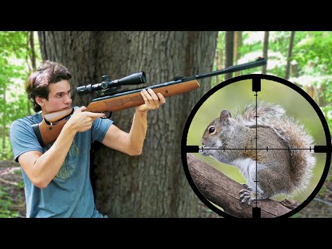 Squirrel Hunting with .30 cal Break Barrel Air Rifle!