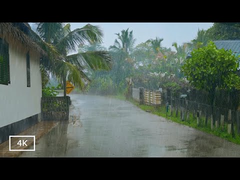 Deep Sleep & Relaxation With Heavy Rain Walk | ASMR Rain Sound for Sleep and Stress Relief