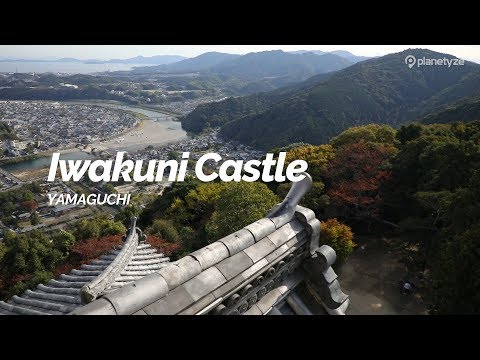 Iwakuni Castle, Yamaguchi | Japan Travel Guide